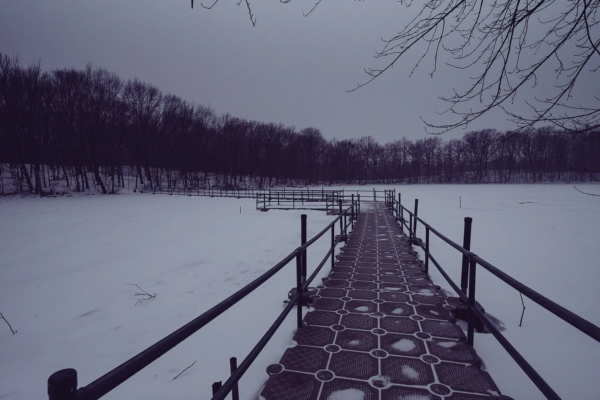 The pond and dock at Eastman Nature Center in Elm Creek Park Reserve, Dayton