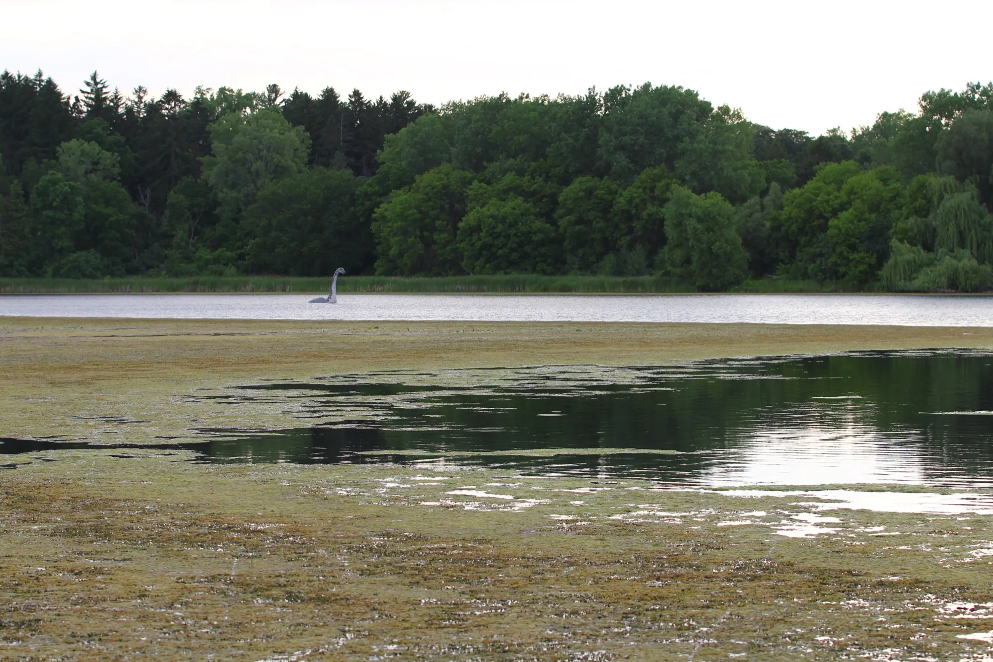 Wirth Lake in Golden Valley, Minnesota