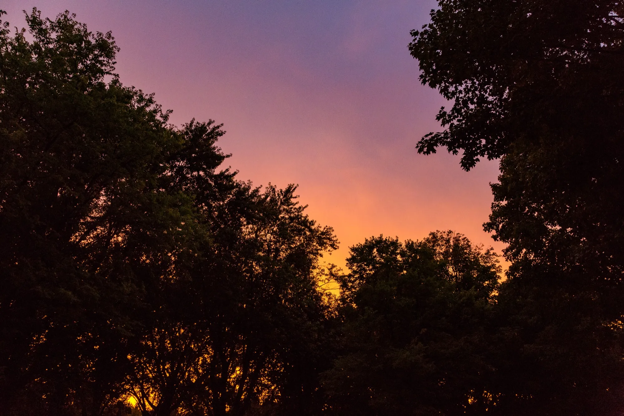 Sunset over Lake Independence at Baker Park Reserve near Medina, Minnesota